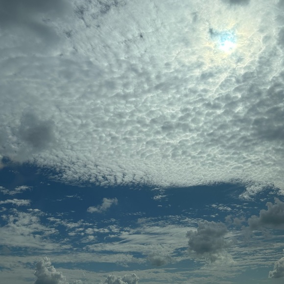 Meet your Posher, Layla - Picture 1 of 1